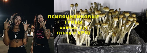 гидропоника Верхний Тагил