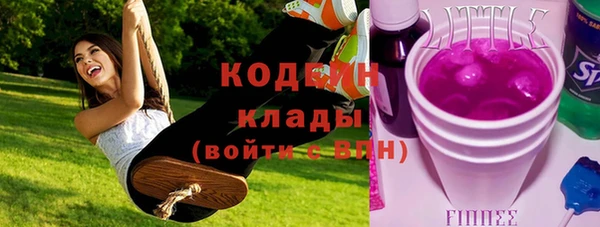 apvp Кукмор