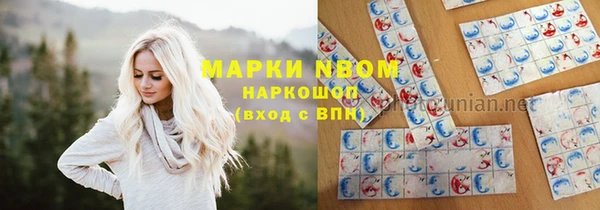 ГАЛЛЮЦИНОГЕННЫЕ ГРИБЫ Верея